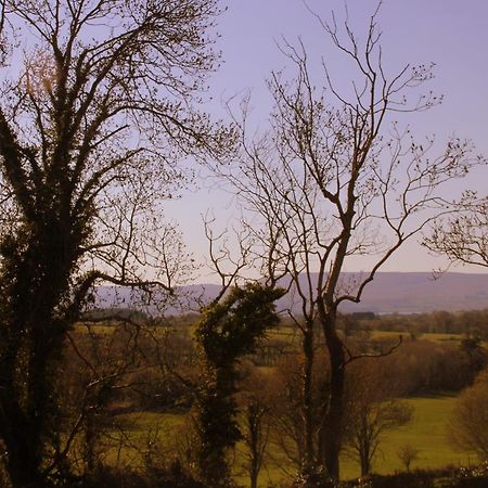 Woodview House Bed And Breakfast Ballinrobe Luaran gambar