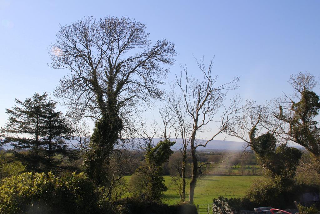 Woodview House Bed And Breakfast Ballinrobe Luaran gambar