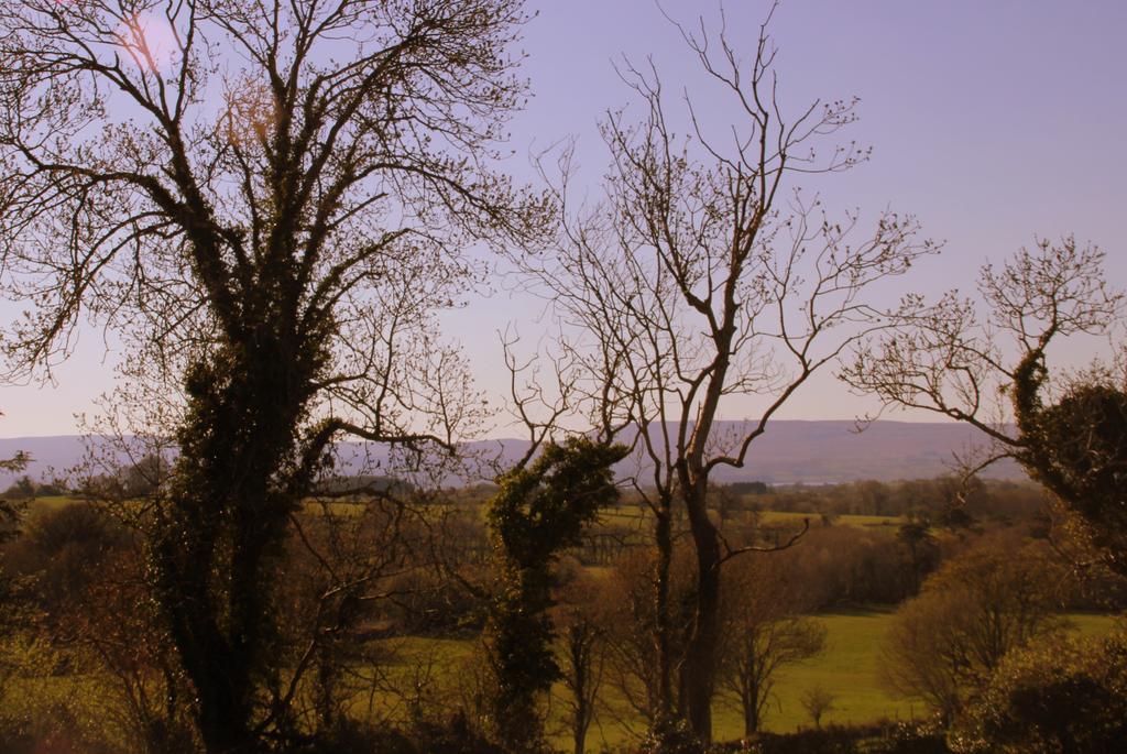 Woodview House Bed And Breakfast Ballinrobe Luaran gambar